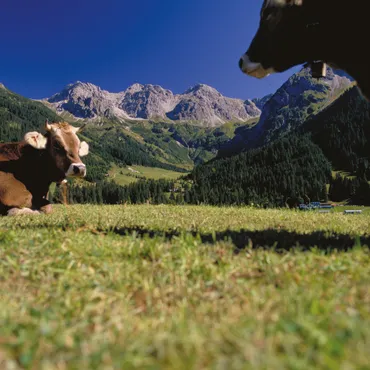 Urlaub im Kleinwalsertal Ferien in der Natur des Kleinwalsertals